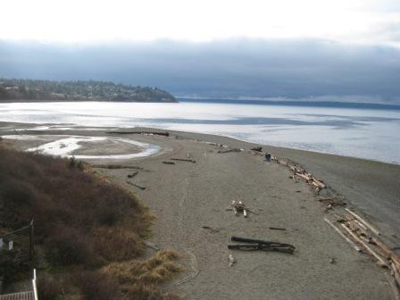 Carkeek Park in Winter