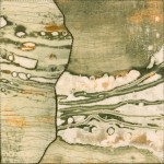 Traces Gallery