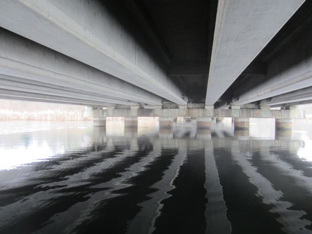 under the 520 bridge
